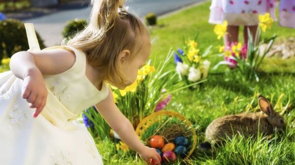 Easter 2026: Events, egg hunts and things to do in Yorkshire