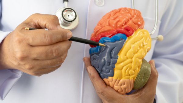 Pesticide Exposure Again Linked to Neurotoxic Effects in Humans and Wildlife in Comprehensive Review - Beyond Pesticides Daily News Blog