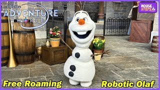 AMAZING Robotic Olaf at World of Frozen, Disney Adventure World  - Disneyland Paris 