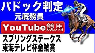 金鯱賞2026完全予想！スプリングステークス2026完全予想！今年の注目馬とパドックを徹底解説！