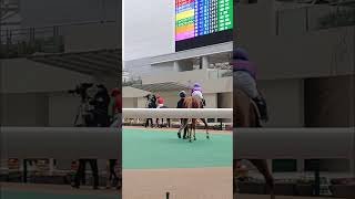 #カルチャーデイ　#酒井学 #mmsracing #米子城ステークス　#阪神11r #2026