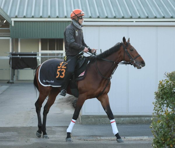 日曜中山競馬場の注目激走馬…中山１１Ｒスプリングステークス・Ｇ２（馬トク報知） - Yahoo!ニュース