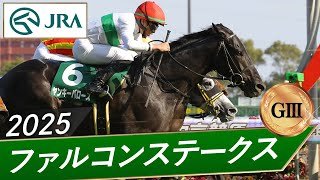 2025年 ファルコンステークス（GⅢ） | ヤンキーバローズ | JRA公式