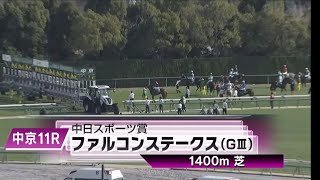中京11R 第39回中日スポーツ賞ファルコンステークス（GⅢ）