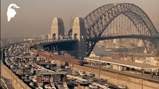 Sydney (1966) | Life in Australia Series | 4K Restoration