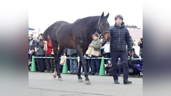 「一大馬産地」復活望み　　よみがえれ青森産駒（上）