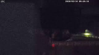 神湊港底土（八丈島）