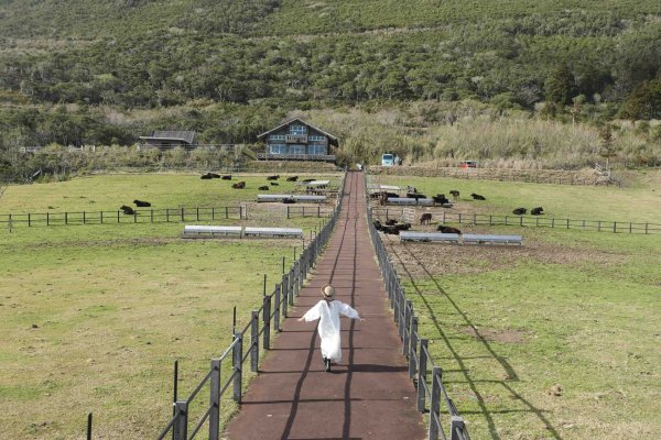 台風被害からの復興へ、東京都八丈島の現在地、エコツーリズムにかける期待と観光ビジョンを取材した