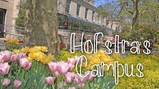 Hofstra University's Beautiful Campus