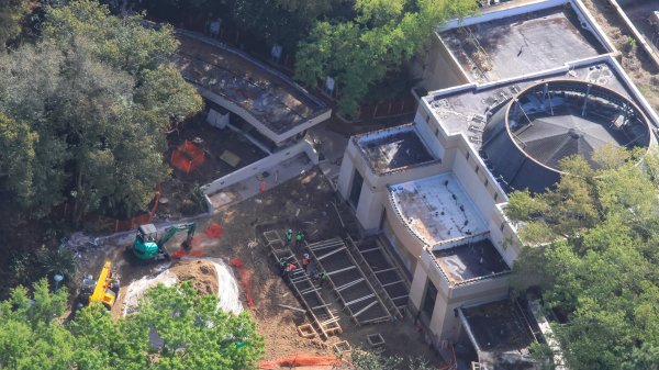 Work Begins to Transform Dino Institute Into Mayan Temple at Animal Kingdom