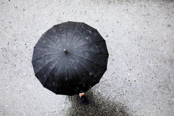 Evacuations à l’est, chutes d’arbre, route coupée, les secteurs de Cannes et Nice touchés : on fait le point sur les intempéries de ce samedi 14 mars