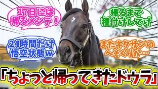【ドゥラメンテ】「お彼岸に帰ってきた結果www」【競馬】