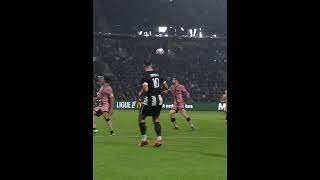 What did you do Lepaul? 💀 #Ligue1 #Banger #Ligue1McDonalds #Goal #angers #psg