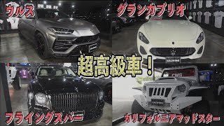 【超高級車】♯25 3000万円の車を見た結果・・・。