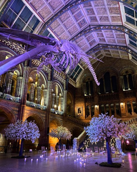 What an honour to have provided trees for ollielockeworld...