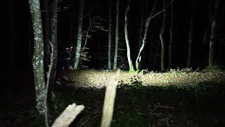 Saintélyon 2025 (teaser)