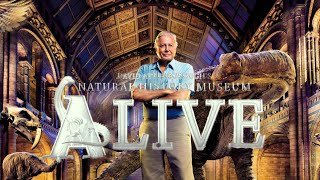 David Attenborough | Natural History Museum Alive | Archeopteryx | Giant Yeti