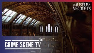 Inside the Natural History Museum, London | Museum Secrets 2/22 | Crime Scene TV