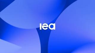 Statement by IEA Executive Director on IEA oil stock release