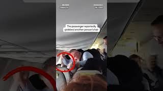 WATCH: An Alaska Airlines passenger allegedly attacked other passengers before takeoff