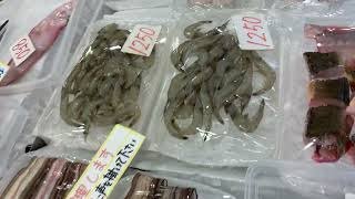 道の駅笠岡ベイファーム鮮魚コーナー3／20