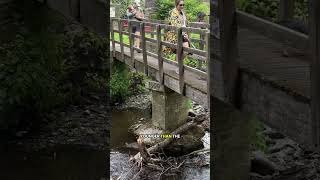 TAKING AN AMERICAN YOUTUBER TO SKIPTON FOR THE FIRST TIME EVER!