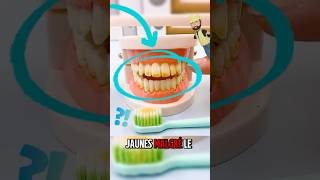 7 usages étonnants du vinaigre blanc que personne ne t’a jamais révélés !