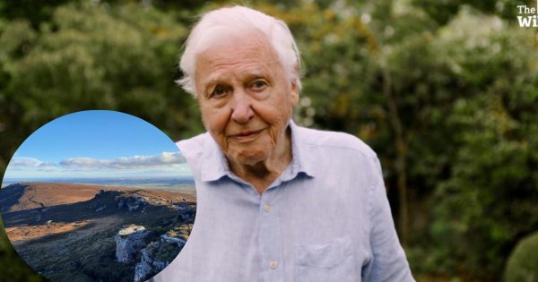 David Attenborough-backed appeal for 40-mile 'wild' corridor passes halfway mark