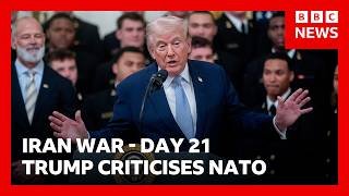Trump calls Nato allies 'cowards' on day 21 of US-Israel war with Iran | BBC News
