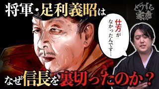 やっぱり無能？足利義昭はなぜ織田信長を裏切ったのか？ #どうする家康