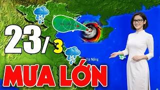 Tin Bão Mới Nhất |Dự báo thời tiết hôm nay ngày mai 23/3/2026 |thời tiết 3 ngày tới #thoitiet