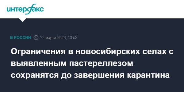 Ограничения в новосибирских селах с выявленным пастереллезом сохранятся до завершения карантина