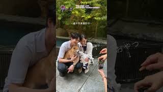 『9ボーダー』✂メイキング🎥わんこ × #松下洸平🐶 #ナインボーダー #大政絢