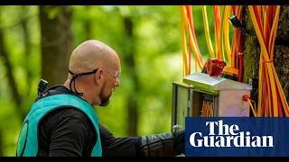 The Hunt: Prey vs Predator - A Wild Competition Show