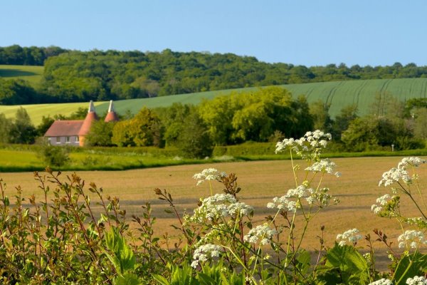 £300,000 grant scheme to support nature and communities across High Weald, including Horsham, Haywards Heath, Crowborough and Rye