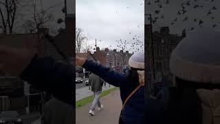 Let's go to Golders Green #Shorts #london #happy #FUNDAYSUNDAY #ofwlife