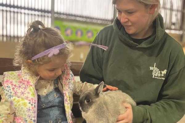 8 fun things for kids during the Easter holidays in Nottinghamshire