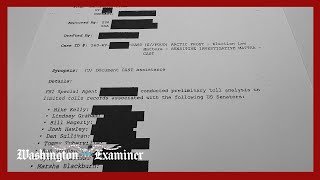 FBI Arctic Frost investigation targeted 160 Republican operatives in search of election crimes