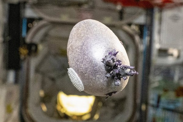 NASA astronaut shares photo of weird, purple, egg-shaped object with 'tentacles' on the ISS. But the truth is much more terrestrial | BBC Sky at Night Magazine
