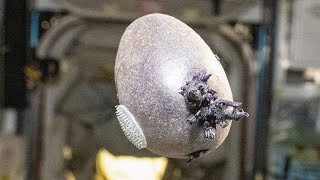 Astronaut Spots Purple Tentacled Alien on the ISS?! Shock Footage