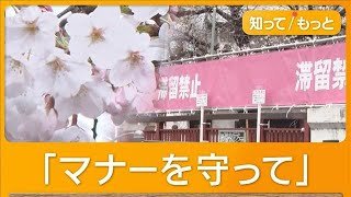 桜隠すピンクの幕が名所・目黒川に　「滞留禁止」「一方通行」注意呼びかけ【知ってもっと】【グッド！モーニング】(2026年3月27日)