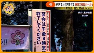 【賛否】桜の名所 東京･目黒川にピンクの“目隠し”横断幕現る…花見の混雑対策どう思う？【サン！シャインニュース】