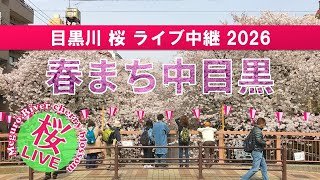 春まち中目黒2026 ～目黒川桜中継～