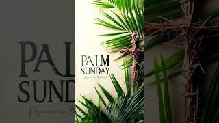 Hosanna! Hosanna! Hosanna in the Highest | Blessed Palm Sunday | Holy Week | Holy Sunday #shorts