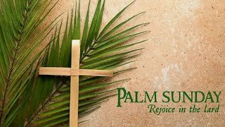 Happy Palm Sunday\Palm Sunday WhatsApp Status\Blessed Palm Sunday Wishes 2026