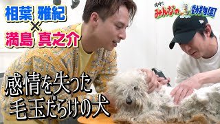【相葉トリミング】満島真之介さんと感情を失った保護犬に出会いました