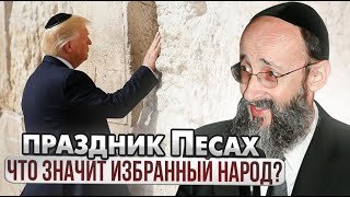 Праздник Песах. Что значит избранный народ? Рав Ашер Кушнир