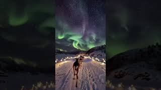 ✨ Voyage au Cœur des Aurores Boréales 🌌 | La Magie de l’Hiver ❄️#Laponie #AuroresBoréales