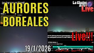 AURORES BOREALES en LIVE! 19jan26!!!