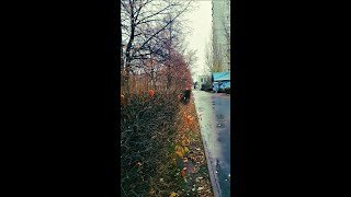 ТОЛЬЯТТИ. ДОЖДЛИВАЯ ОСЕНЬ. ГОРОДА РОССИИ #shorts